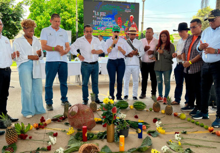 En la subregión Macarena-Guaviare priorizaron proyectos que beneficiarán a doce municipios PDET