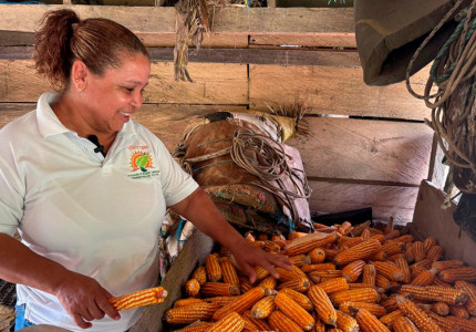 Mujer campesina con cosecha de maiz