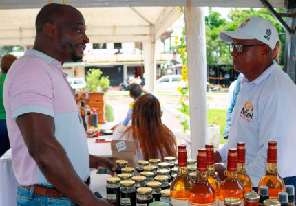 El Gobierno del Cambio le cumplió a El Bagre: 100 apicultores fortalecieron su producción con la ART