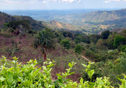 Paisaje de los Montes de María