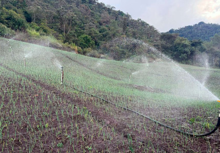 Sistema de riesgo en cultivo