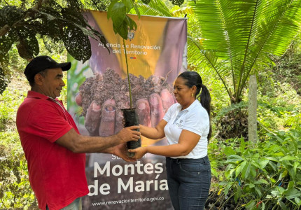 Coordinadora de la ART en Montes de María entregando una plántula de aguacate