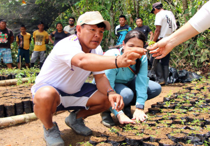 Indígenas del pueblo Barí sembrando plantas