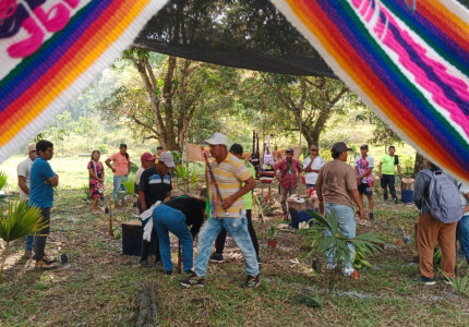 Comunidad indígena Nasa en huerta tradicional
