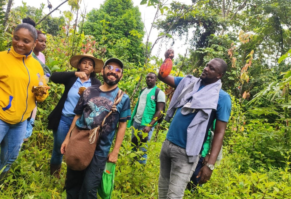 Agricultores de cacao de Pacífico Medio