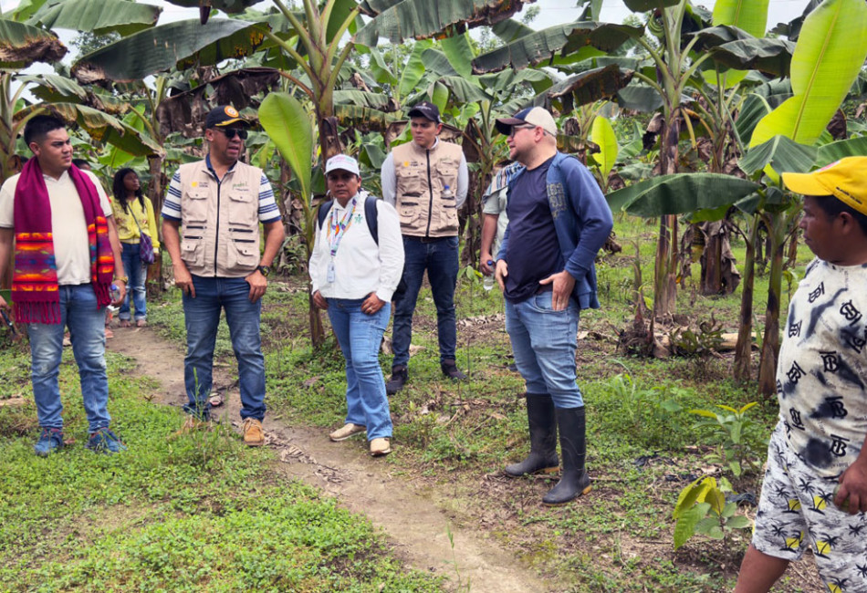 Agricultores indígenas de Arauca