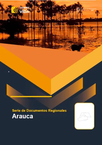 Arauca – Informe de Implementación 2022