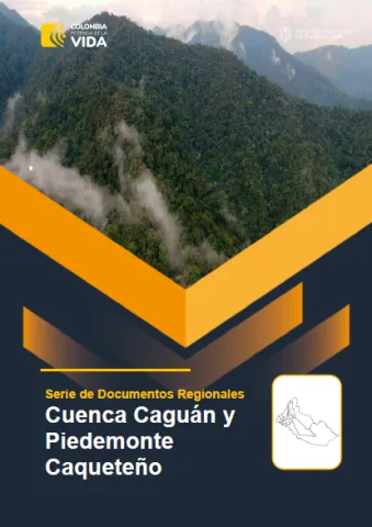 Cuenca Caguán – Informe de Implementación 2022