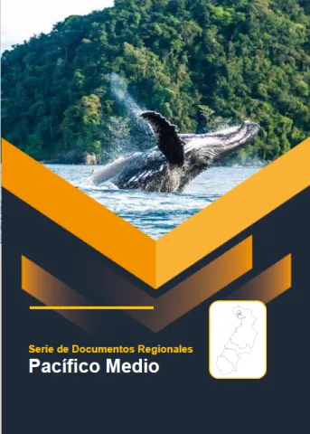 Pacifico Medio – Informe de Implementación 2022