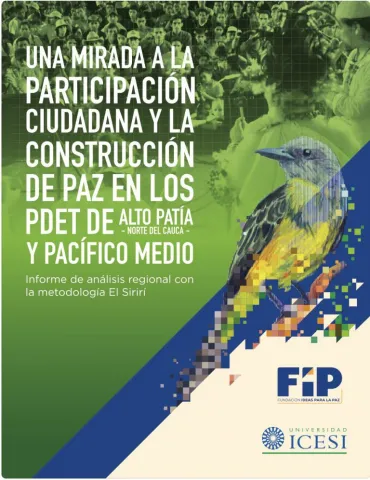 Una mirada a la participación ciudadana en los PDET de Alto Patía – Norte del Cauca y Pacífico Medio 
