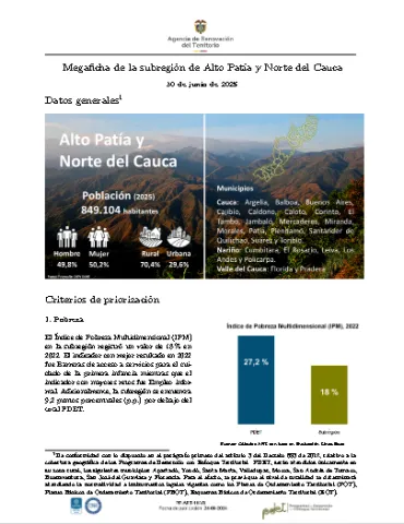 Alto Patía – Informe de Implementación 2025