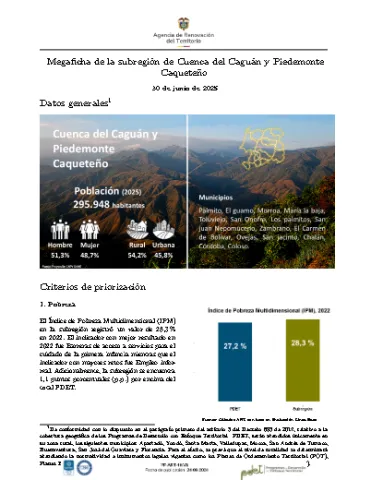 Cuenca Caguán – Informe de Implementación 2025