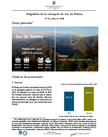 Sur de Tolima – Informe de Implementación 2025
