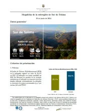 Sur de Tolima – Informe de Implementación 2023