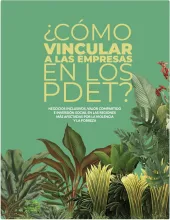 ¿Cómo vincular al sector privado en los PDET? 