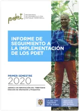 Informe de Implementación Primer Semestre 2020 