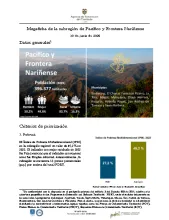 Pacífico Frontera Nariñense – Informe de Implementación 2025
