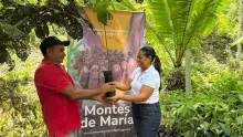 Coordinadora de la ART en Montes de María entregando una plántula de aguacate
