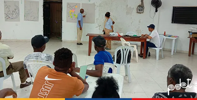 Comunidades del Bajo Calima le apuestan al cultivo de chontaduro para fortalecer sus economías regionales