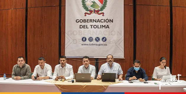 Gobernación del Tolima y alcaldes de municipios PDET avanzan en la estructuración del capítulo de programas y proyectos para el Sur del Tolima