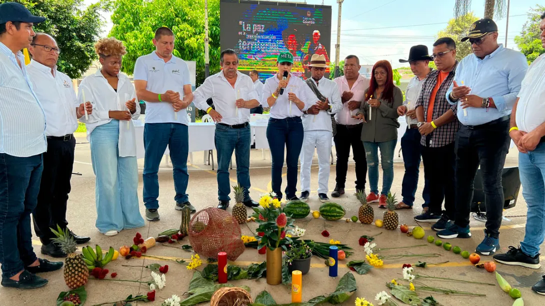 En la subregión Macarena-Guaviare priorizaron proyectos que beneficiarán a doce municipios PDET