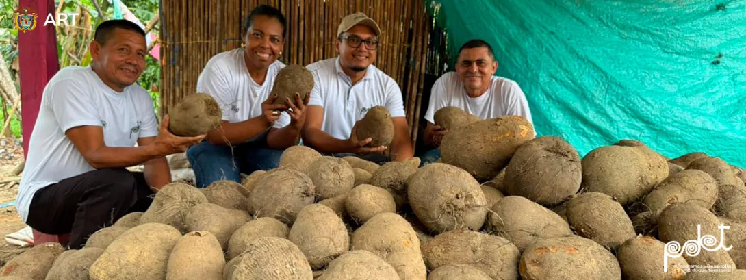 Campesinos de la vereda Berruguita con cosecha de ñame
