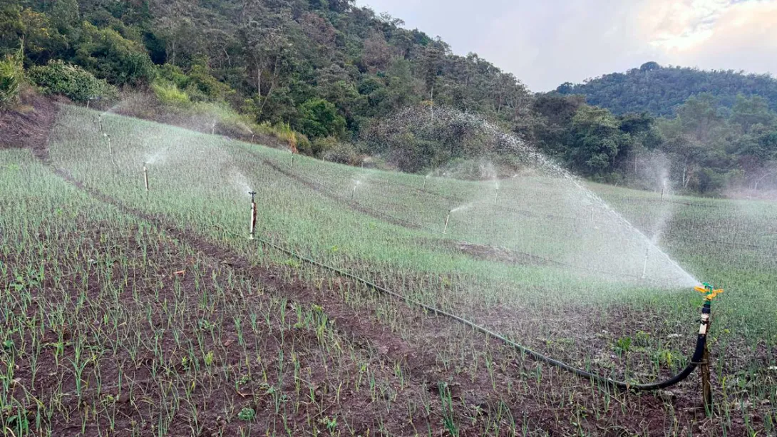 Sistema de riesgo en cultivo