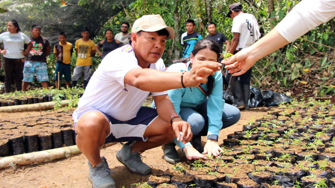 Indígenas del pueblo Barí sembrando plantas