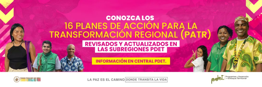 Conozca los 16 PATR revisados y actualizados en las subregiones PDET