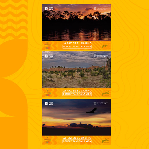 Postales con el logo de Territorios de Vida